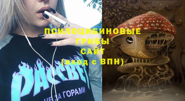 не бодяженный Коряжма
