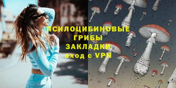 2c-b Корсаков