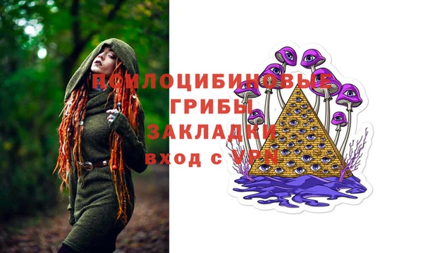 2c-b Корсаков