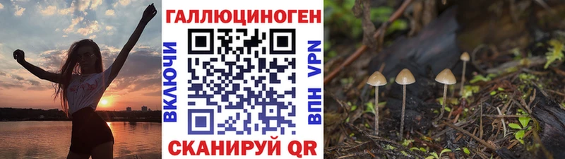 Псилоцибиновые грибы мицелий  Купить закладки  Котельнич 