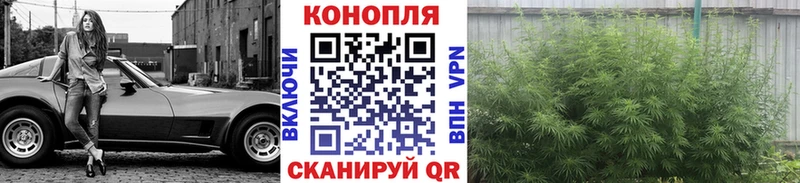 МАРИХУАНА White Widow  Купить закладки  Котельнич 